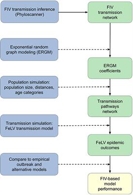 Apathogenic proxies for transmission dynamics of a fatal virus